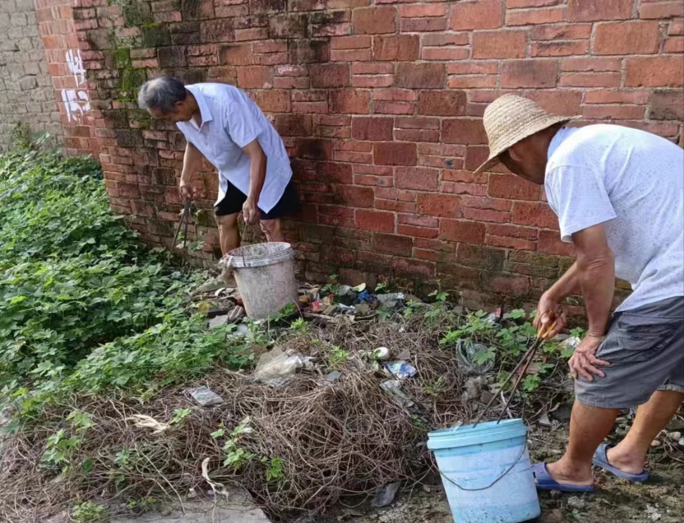 桐柏县平氏镇：人居环境再整治 绘就和美新农村